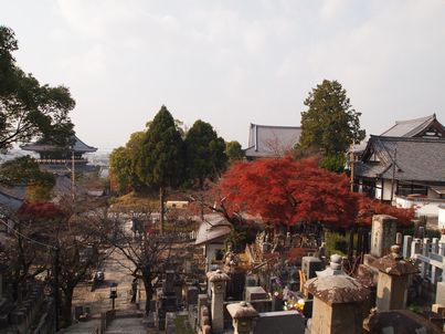 d0079440_10351769.jpg