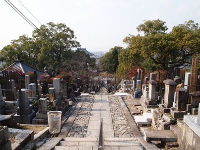 d0079440_1035199.jpg