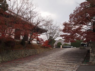 d0079440_1261422.jpg
