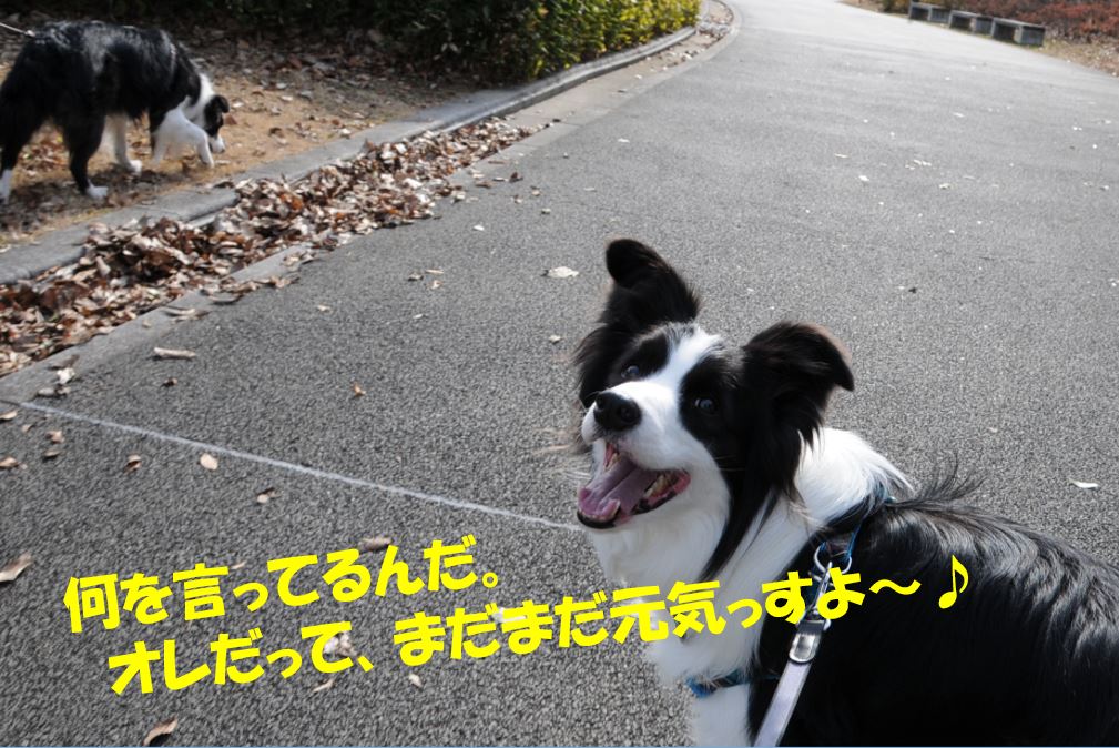 c0147241_17413069.jpg