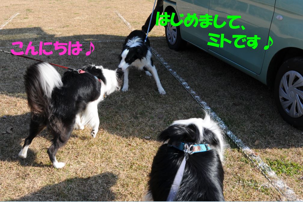 c0147241_17415287.jpg