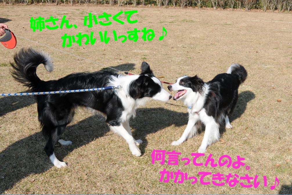 c0147241_17422165.jpg
