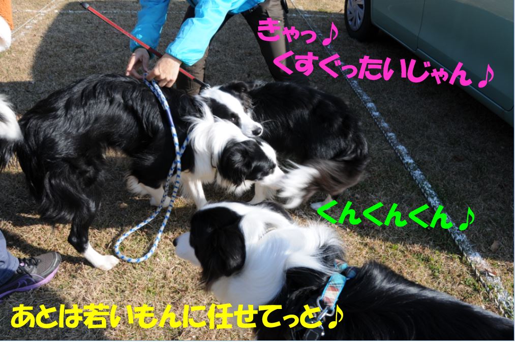 c0147241_1742890.jpg