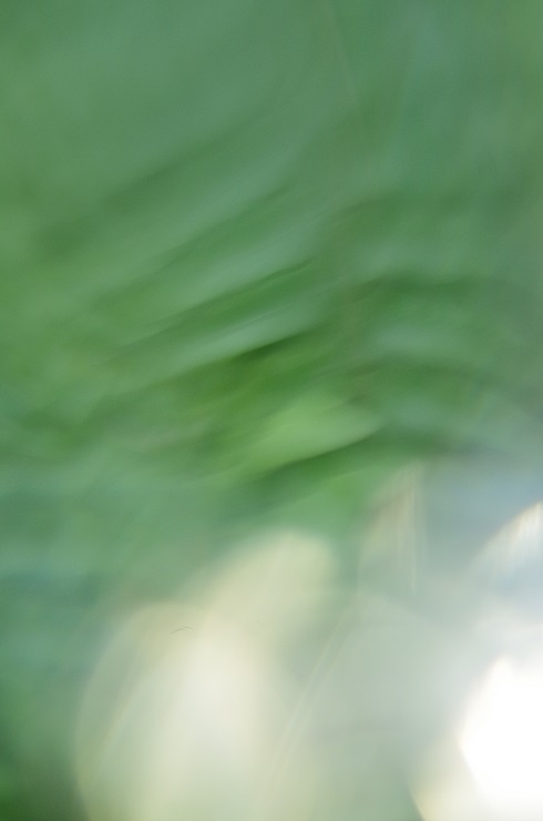 d0165741_1855140.jpg