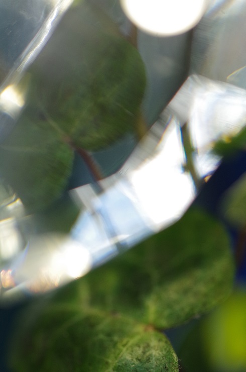 d0165741_1862929.jpg