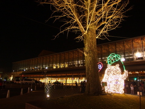b0199742_918271.jpg