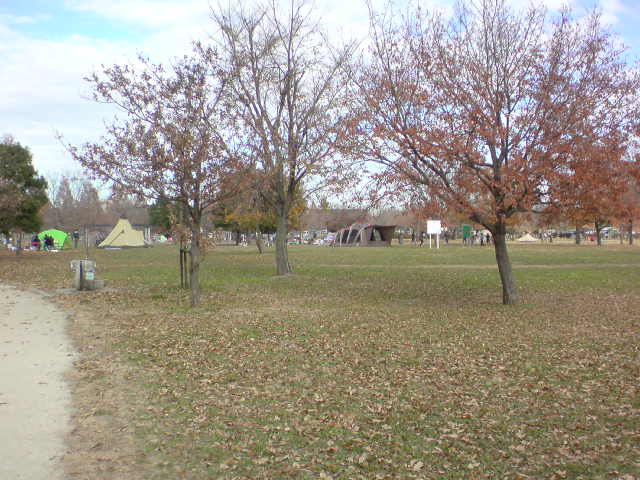 b0139044_19315457.jpg
