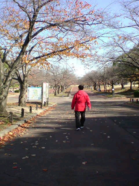 b0139044_20205650.jpg