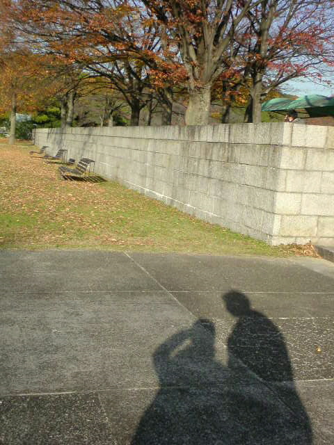 b0139044_20205690.jpg