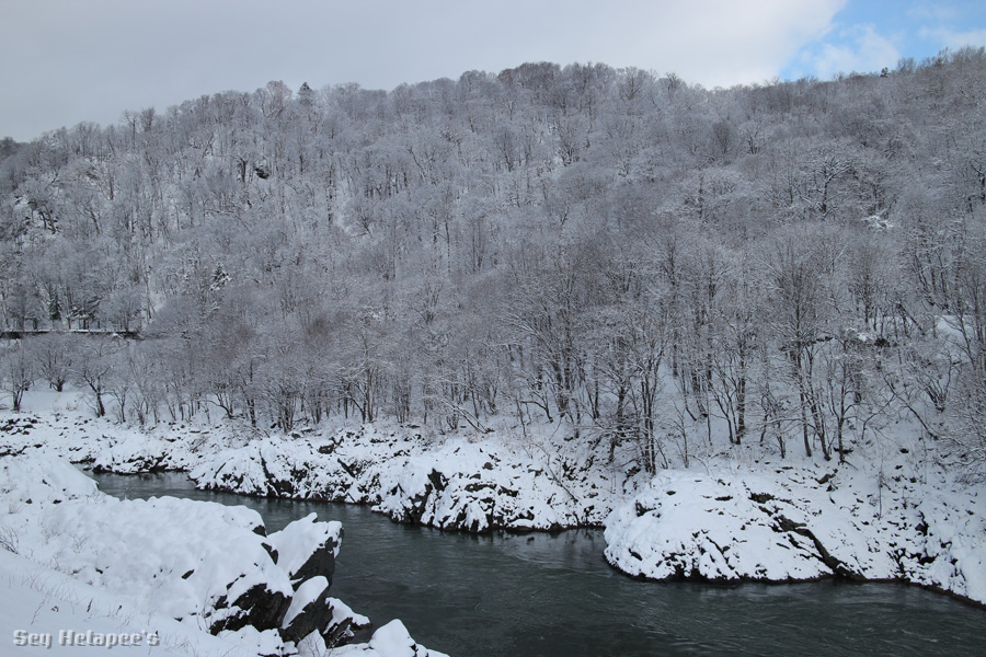 f0166545_22101431.jpg