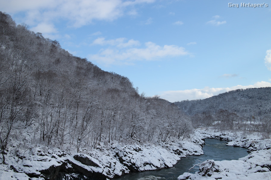 f0166545_2291922.jpg