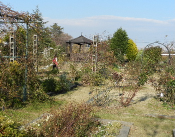 e0172950_10112317.jpg
