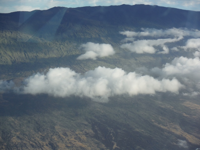 e0033156_411094.jpg