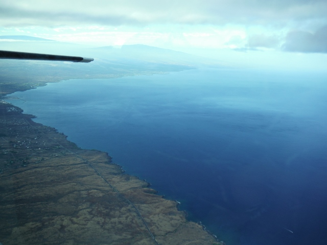 e0033156_482430.jpg