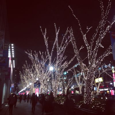 d0005157_1642476.jpg