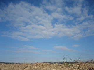 e0271461_12332898.jpg