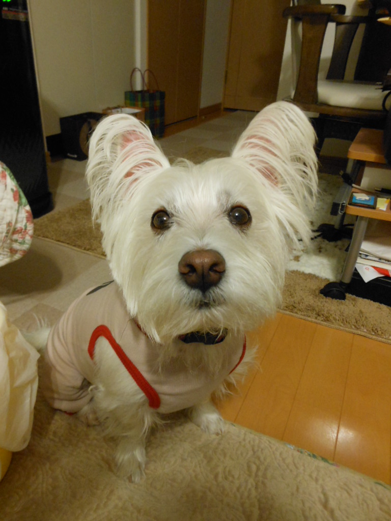 b0242873_92454100.jpg