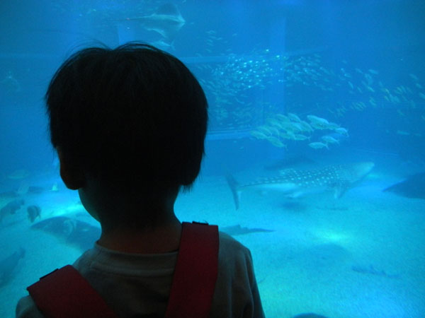 b0253075_21244416.jpg