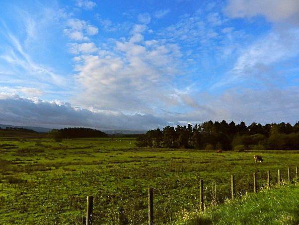 d0260278_13444362.jpg