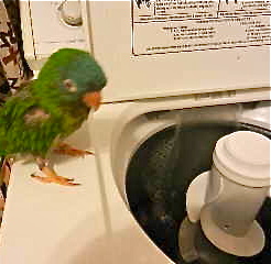 d0260278_151855.jpg
