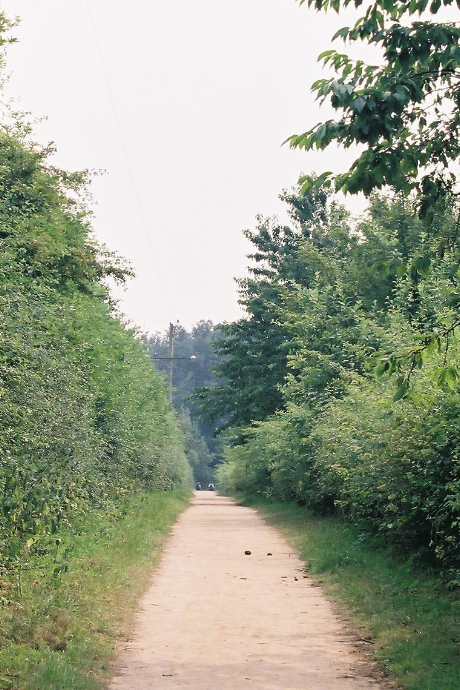 b0178479_11473424.jpg