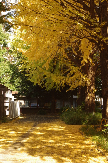 b0160184_23045742.jpg