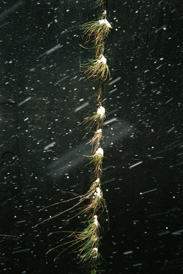 e0051186_824688.jpg