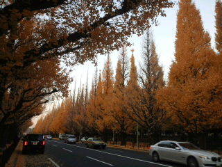 e0039787_002486.jpg