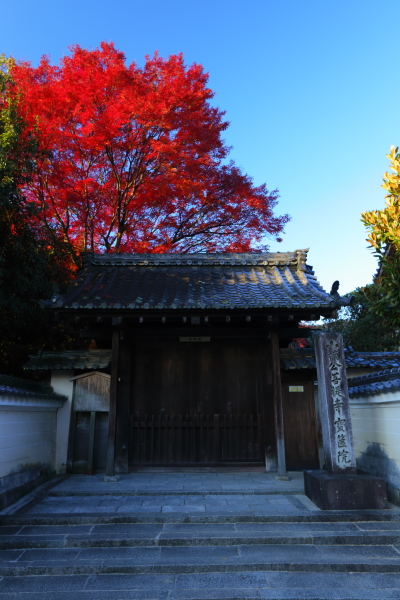 e0051888_421657.jpg