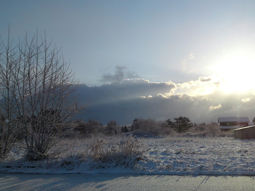 c0095492_1151277.jpg