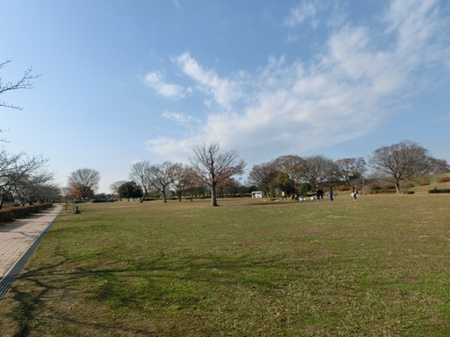 a0319693_16421378.jpg