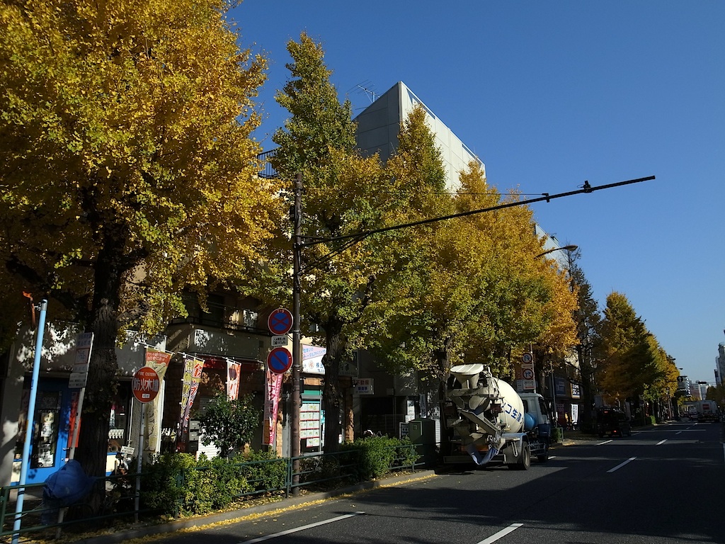 f0108399_1264792.jpg