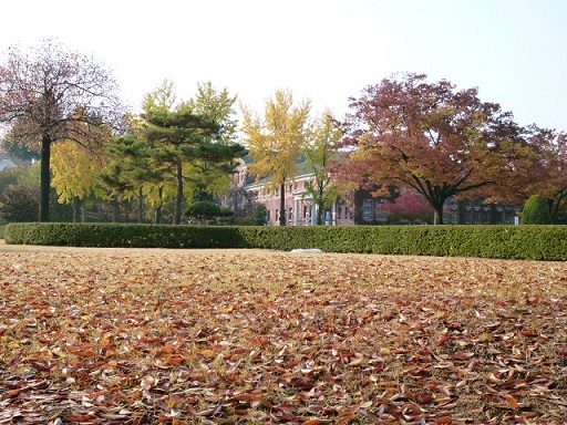 a0140305_1505272.jpg