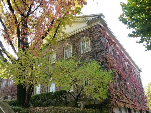 a0140305_1512766.jpg