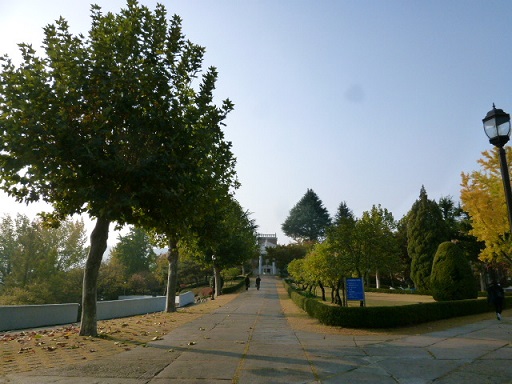 a0140305_151751.jpg