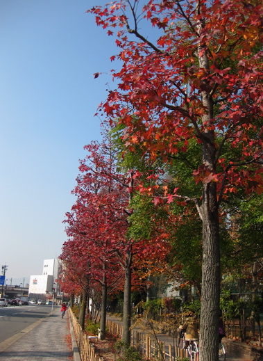 a0164011_1282811.jpg