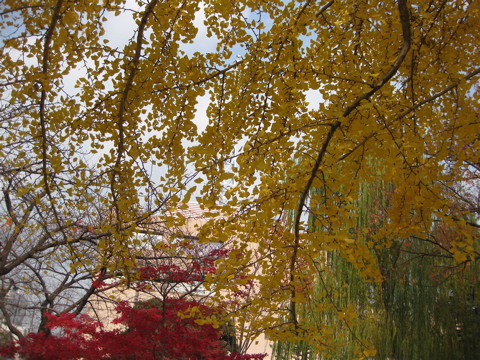 a0164011_1283413.jpg