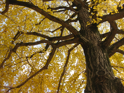 a0164011_1284219.jpg