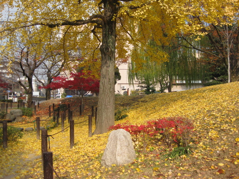 a0164011_1285956.jpg
