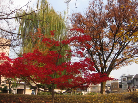 a0164011_12979.jpg