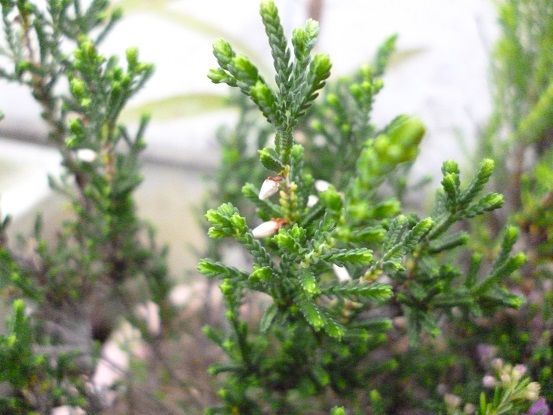f0228619_2082313.jpg