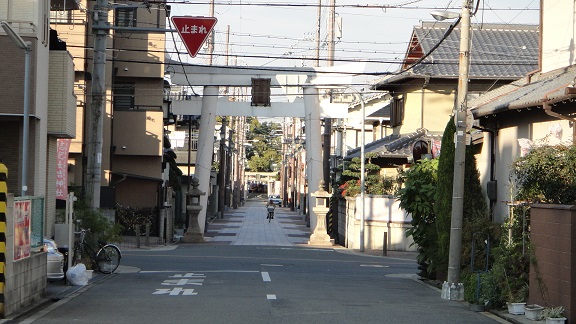 f0000521_18585248.jpg