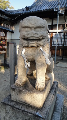 f0000521_1938826.jpg