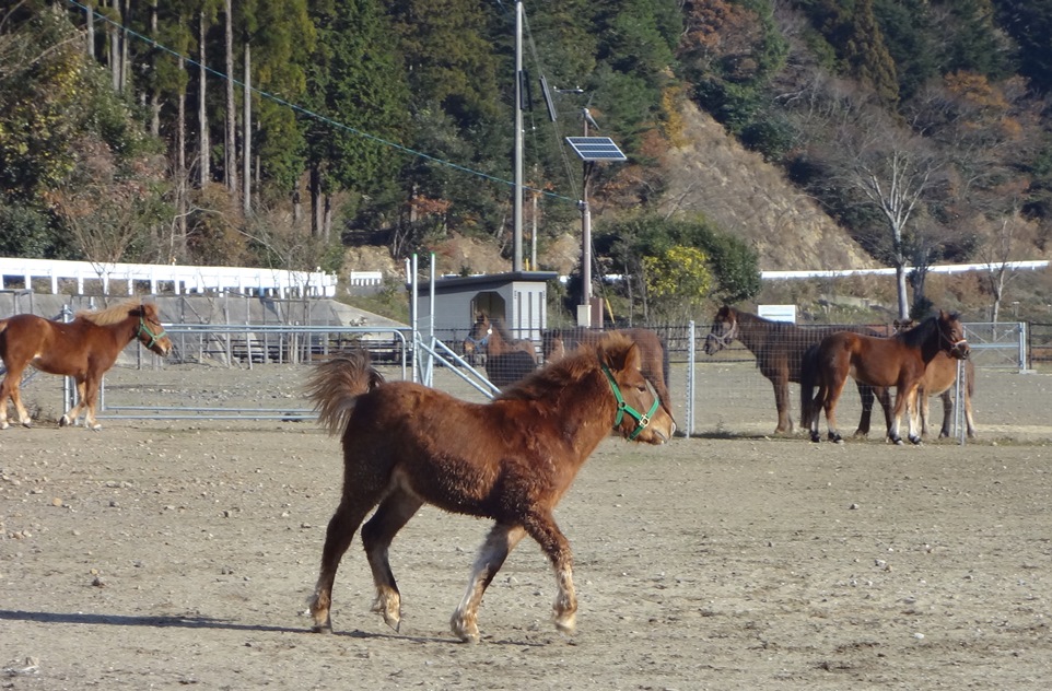 b0202125_16575357.jpg