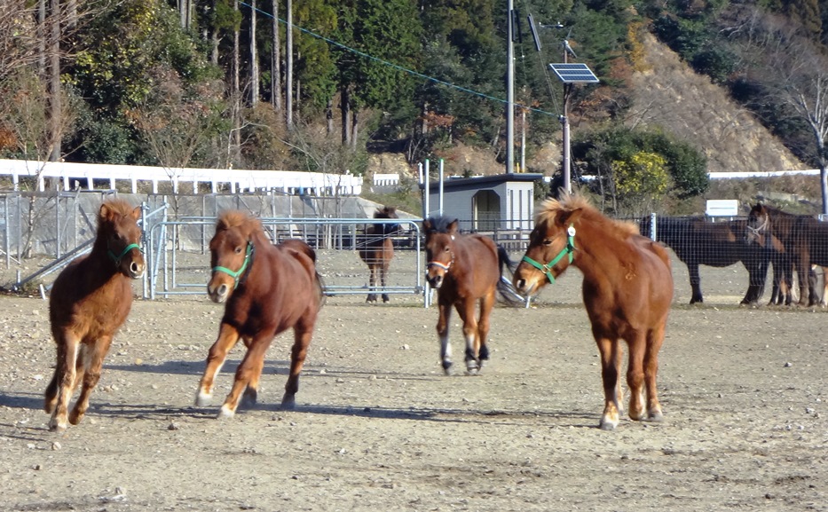 b0202125_16583780.jpg