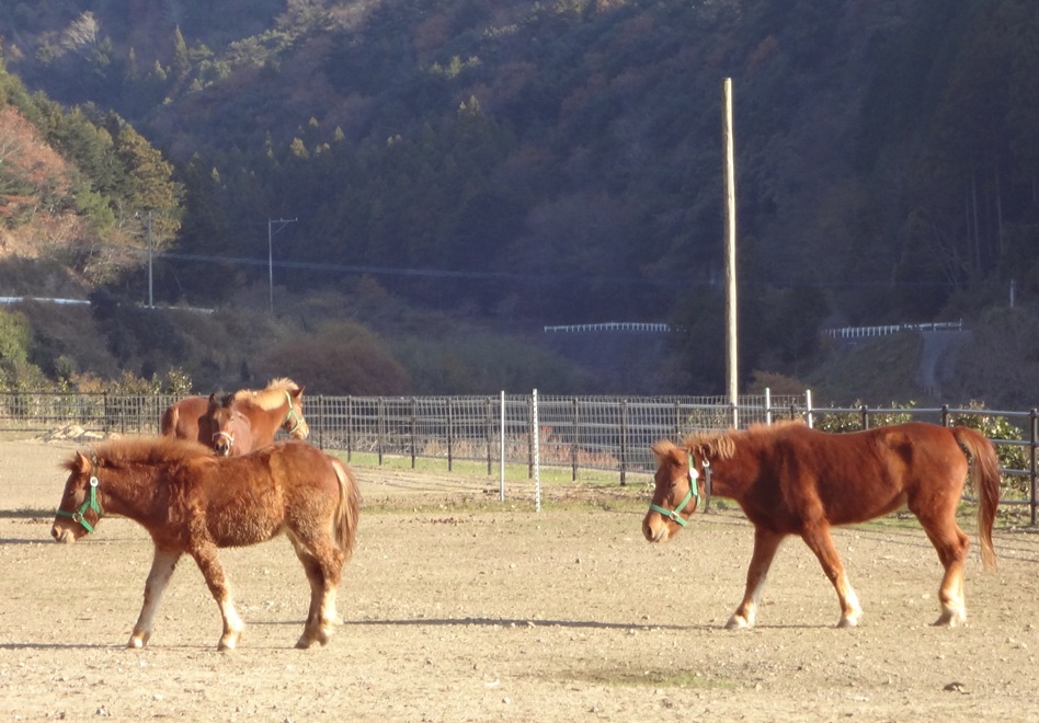 b0202125_16594216.jpg
