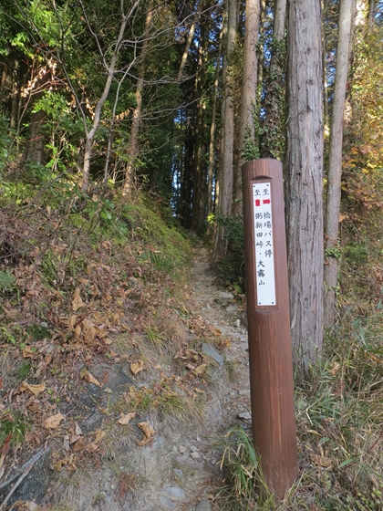 f0040525_2023359.jpg