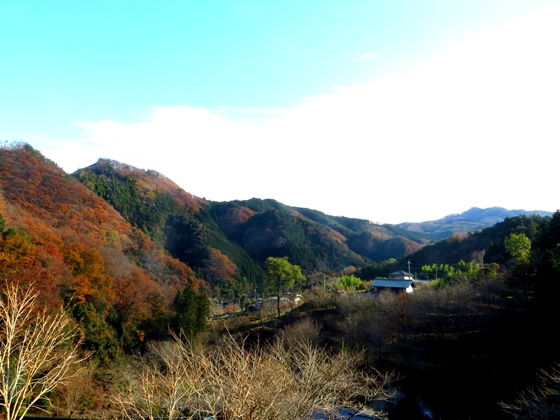 f0040525_2023799.jpg