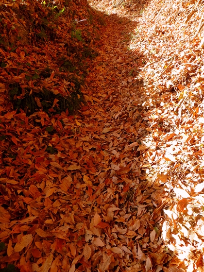 f0040525_2024860.jpg