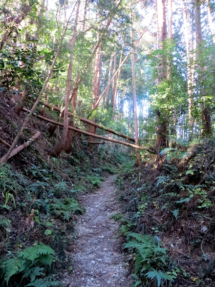 f0040525_2025245.jpg